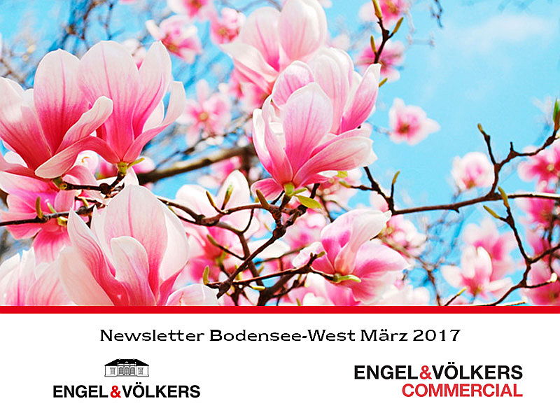  Konstanz
- E&V_Rahmen_Newsletter_März_2017.jpg