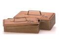 Wood & Metal Mesh Boxes Set of 2