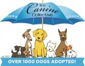 The Canine Collective logo