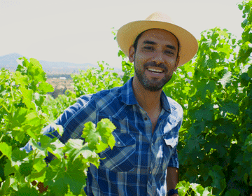 PECADOS CAPITALES DEL VINO