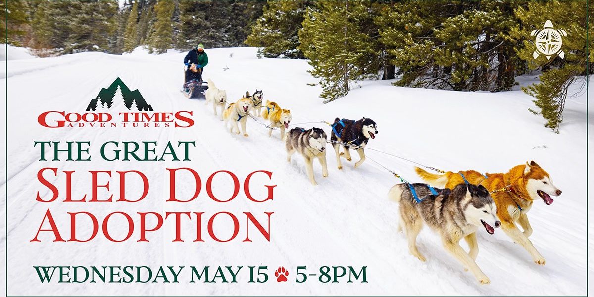 The Great Sled Dog Adoption @ NTBC promotional image