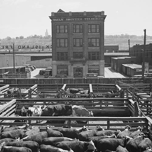 Forth Worth, Texas Stockyards Historical Photo