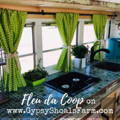 kitchen-view-inside-schoolie-vrbo-gypsy-shoals-farm