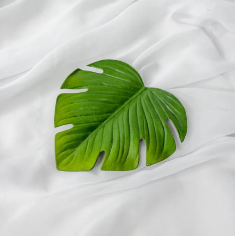 Monstera Coaster (6 Pack) - Realistic Artificial Flowers and Greenery