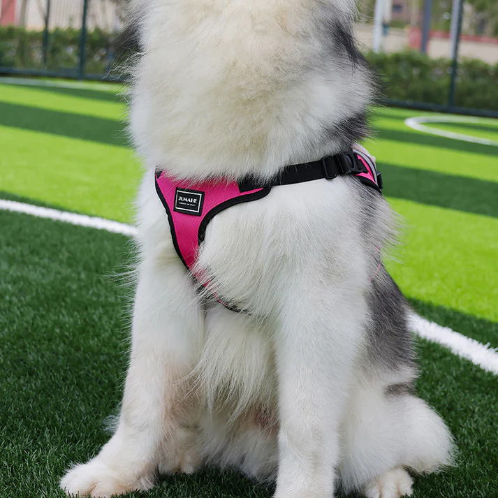 Ultimate Dog Harness Vest with Backpack - Padded, Reflective & Adjustable for Medium Sized Dogs - Image 8