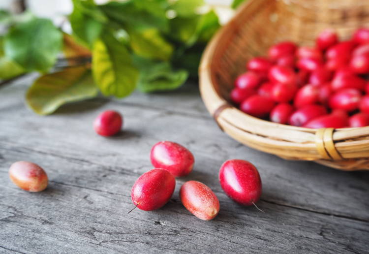 ミラクルフルーツとは