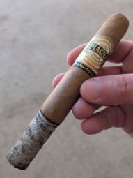 Nice ash