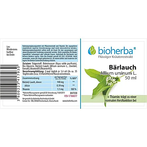 Bärlauch, Allium ursinum L., Tropfen, Tinktur 50 ml