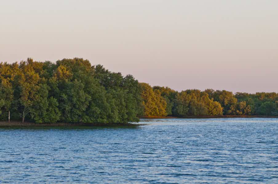 Mangrove National Park: Self-Drive Guided Tour on a Speedboat - photo 1