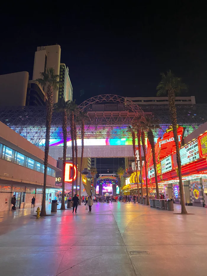 The D Casino & Hotel