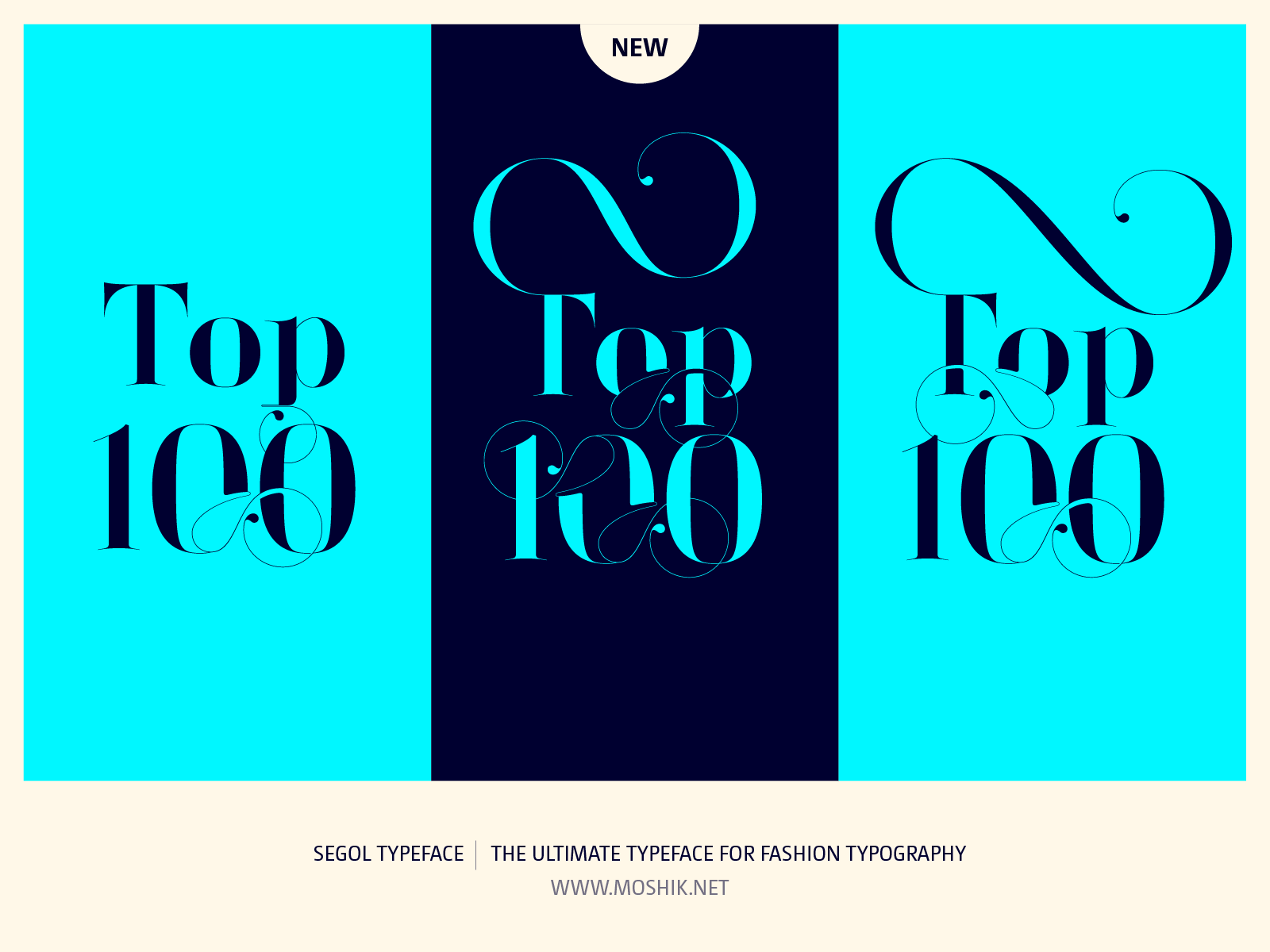 Top 100 type, Segol Typeface, fashion fonts, best fonts 2021, best fonts for logos, sexy fonts, sexy logos, Vogue fonts, Moshik Nadav, Fashion magazine fonts, Must have fonts