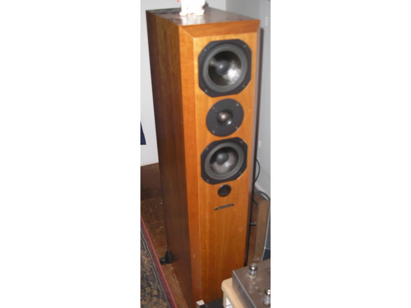 Coincident Speaker Technology sp  Super Eclipse III speakers