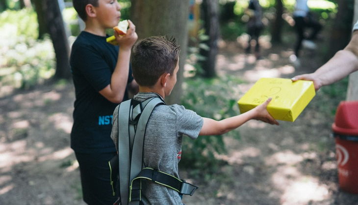 treetree schatzkiste