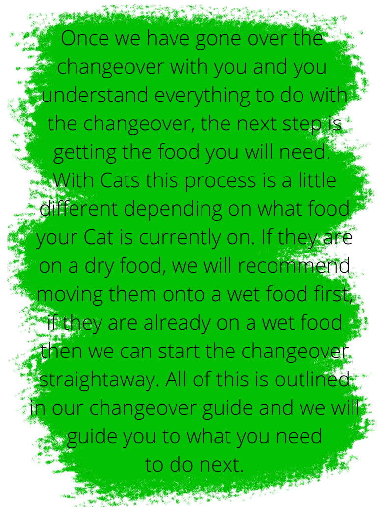 Black Text on a Green Paint Background