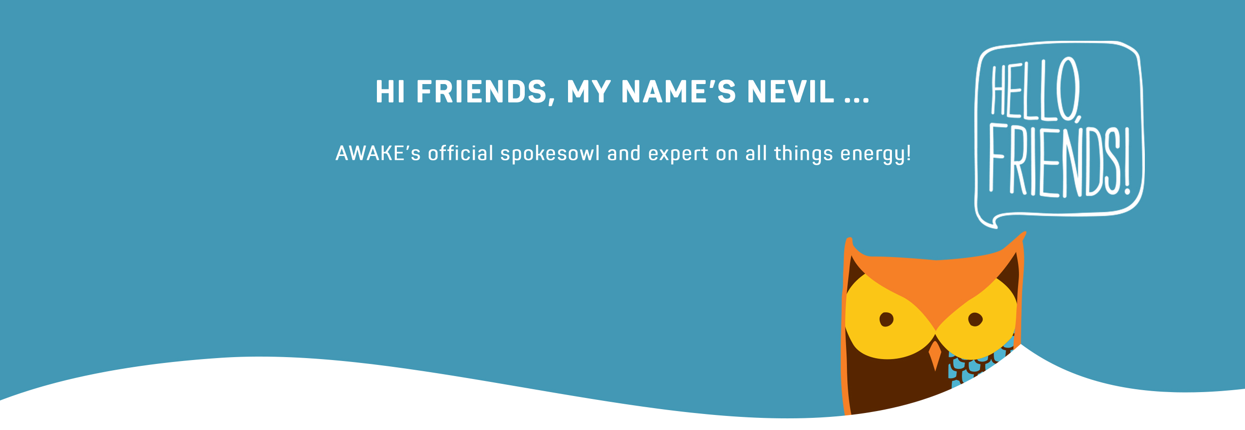 Cartoon image of Nevil, Awake's mascot, an owl. 'Hello friends, my name's Nevil, Awake's official spokesowl and expert on all things energy.'