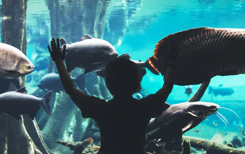 Barcelona Aquarium Flexible Skip the Line Access Entry Ticket