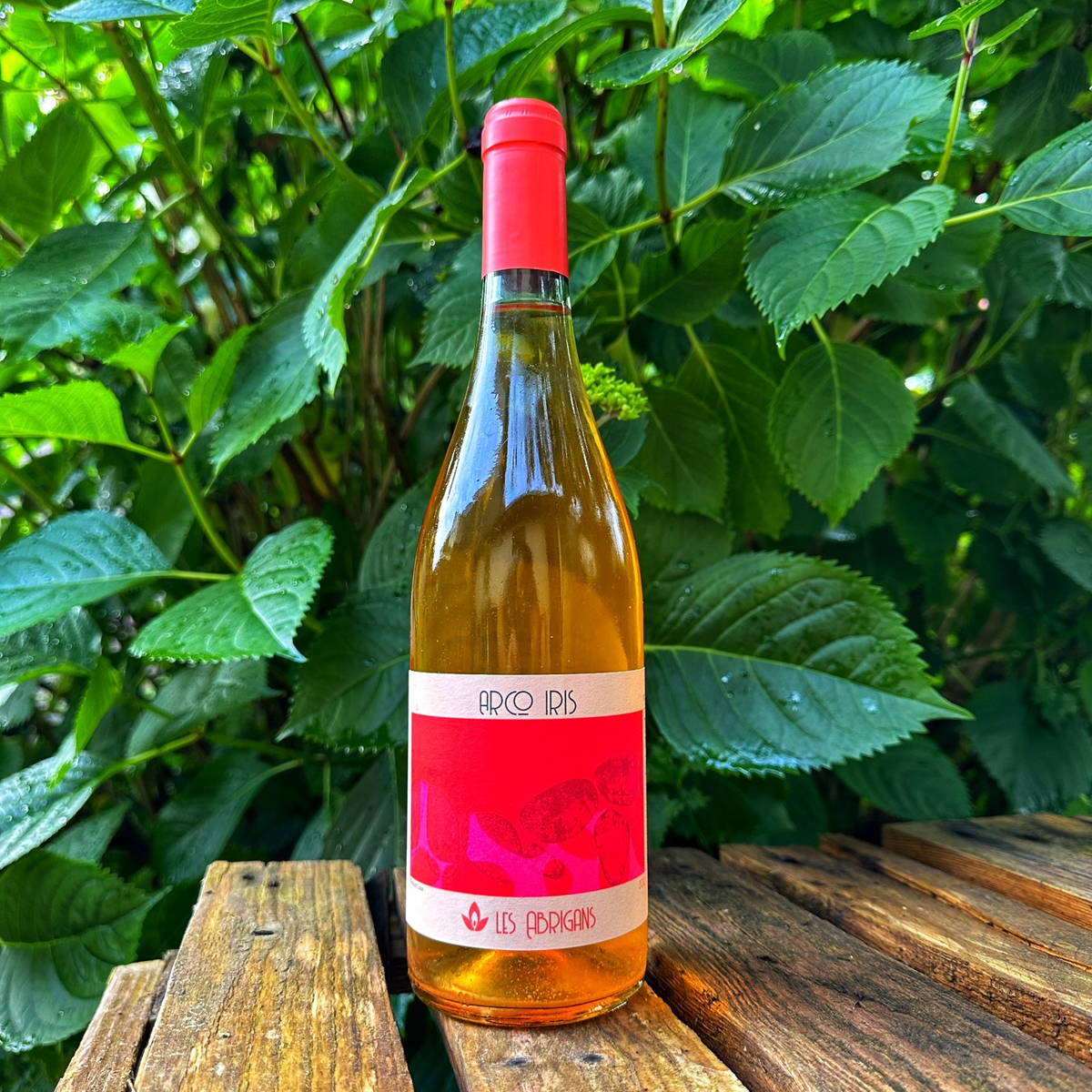 France, vin nature, rawwine, organic wine, vin bio, vin sans intrants, raizin brut, vin rouge, vin blanc, rouge, blanc, nature, vin propre, vigneron, vigneron indépendant, domaine bio, biodynamie, vigneron nature, cave vin naturel, cave vin, caviste, vin biodynamique, raizin brut, Quimper, Finistère 