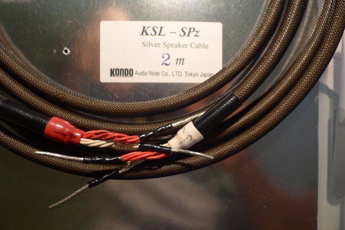 Audionote Kondo KSL-SPZ Silver Speaker cable -2M