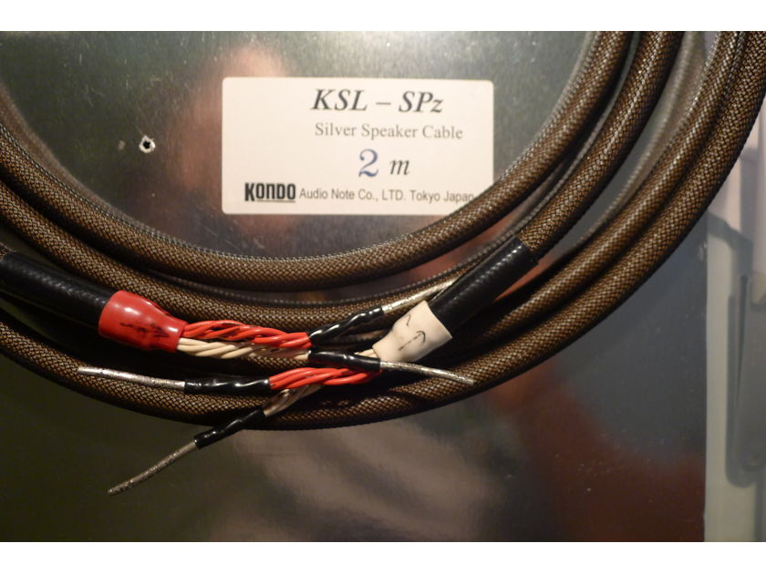 Audionote Kondo KSL-SPZ Silver Speaker cable -2M