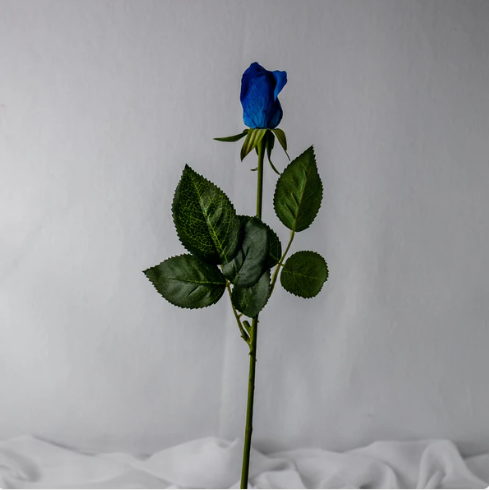 Deep Blue Real Touch Bud Rose - Realistic Artificial Flowers - Image 3