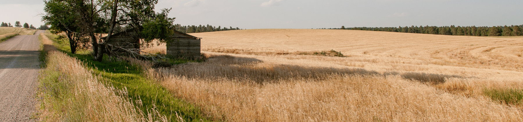 Nebraska skyline