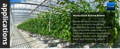 Use temperature sensors to ensure the correct environment for your plants. Control humidifiers and misters.