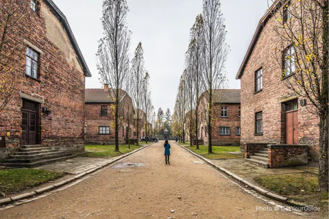 Skip-the-Line Entry Ticket & Guided Tour to Auschwitz (No Transportation)
