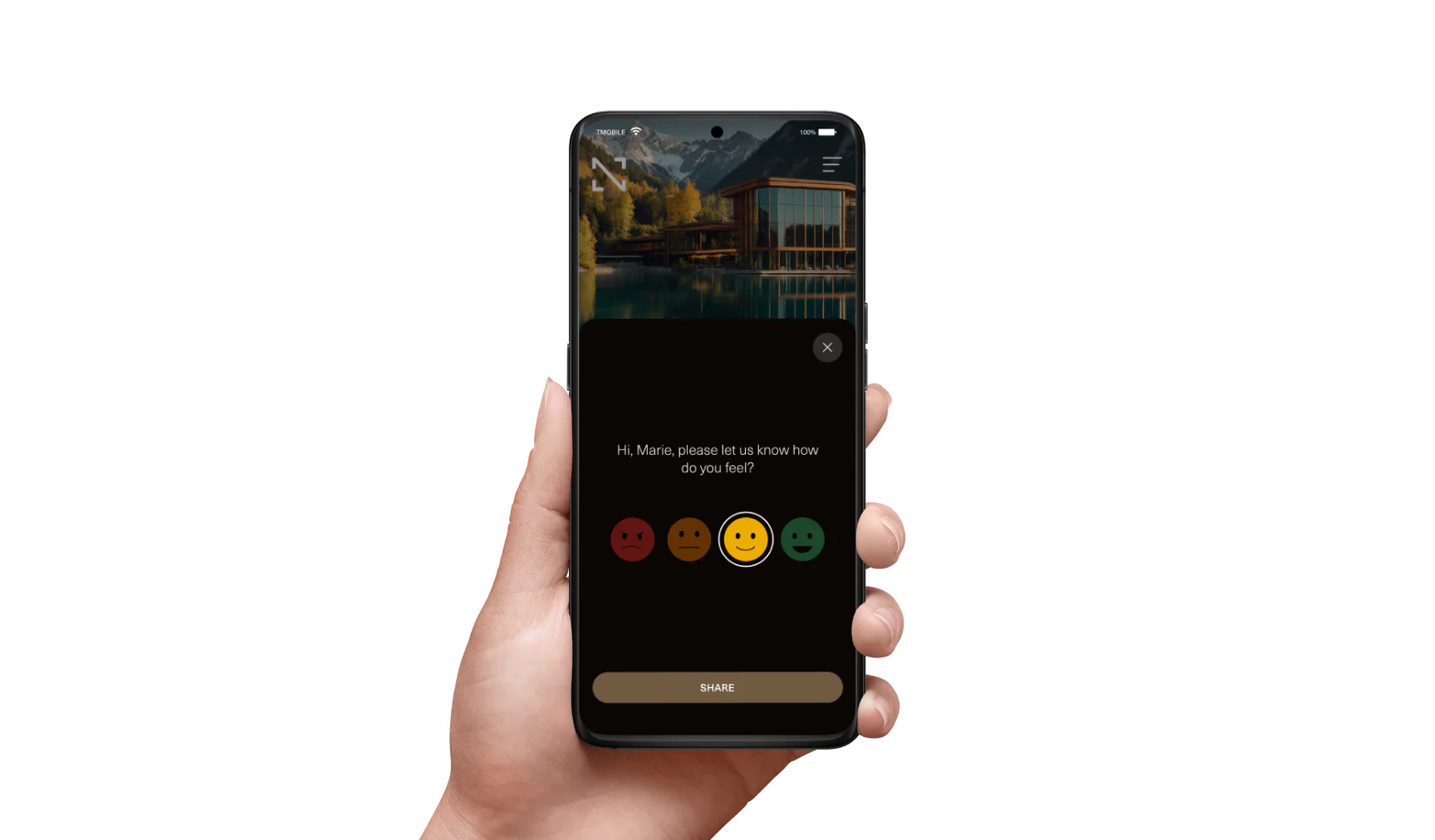 Screenshot image