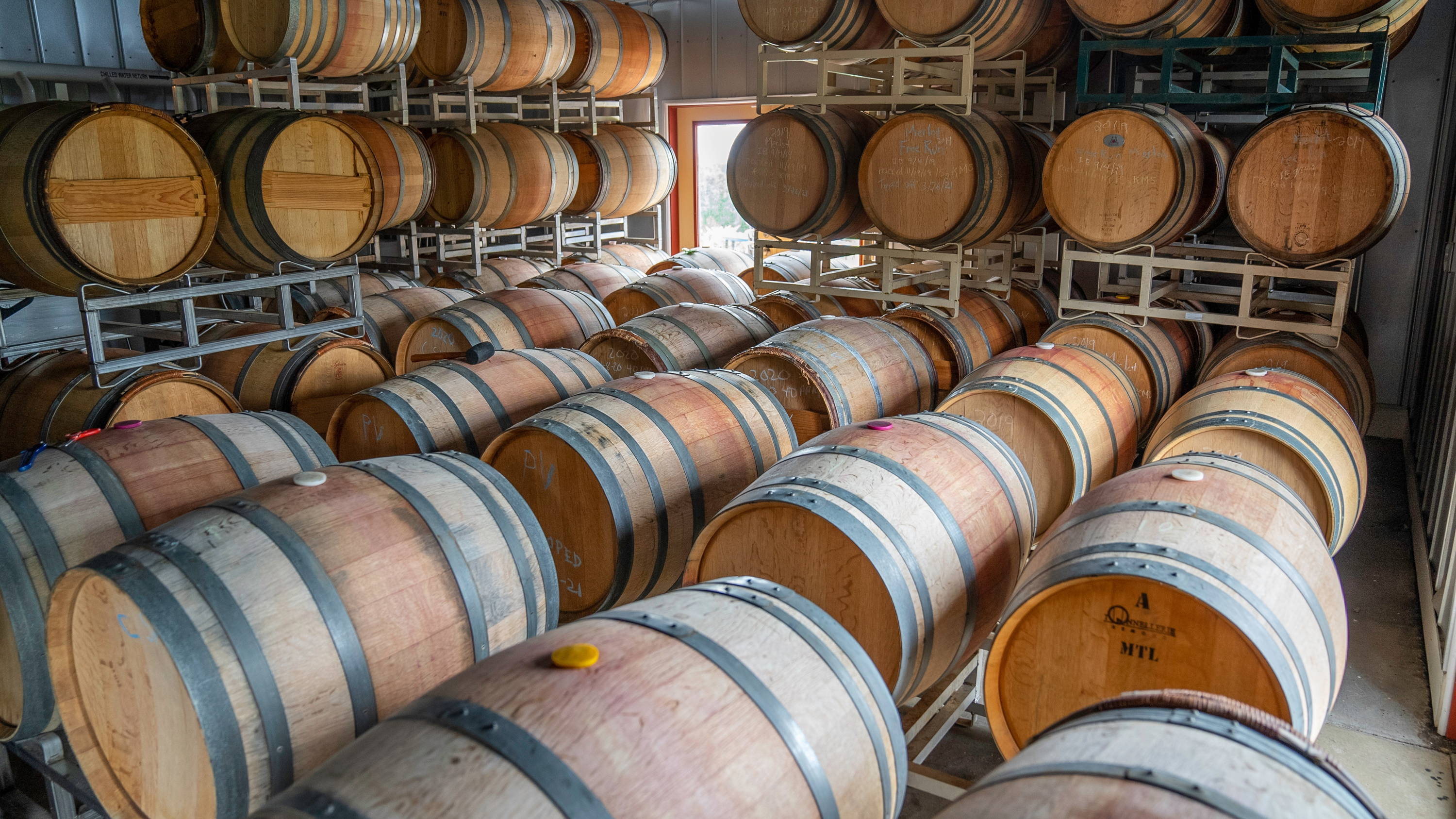 Inside wide storage showing how Riesling is stored conditions including steady humidity and stable temperature. 