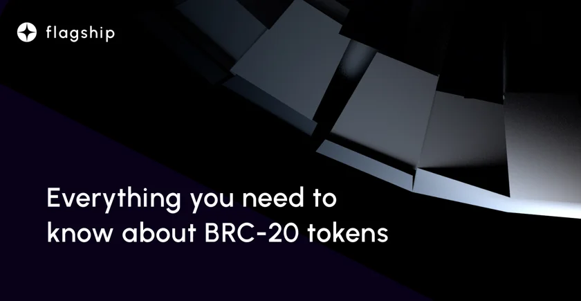 BRC-20  brc20 tokens Bitcoin ordinals