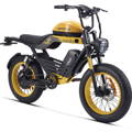 HappyRun moped style ebike 1000W G60 pro