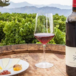 Taormina Winery Tour