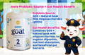 Jovie Prebiotic Source + Gut Health Benefit | The Milky Box