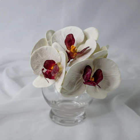 White and Dark Pink Phalaenopsis Flowerhead ( 6 Pack ) - Realistic Artficial Flowers - Image 3