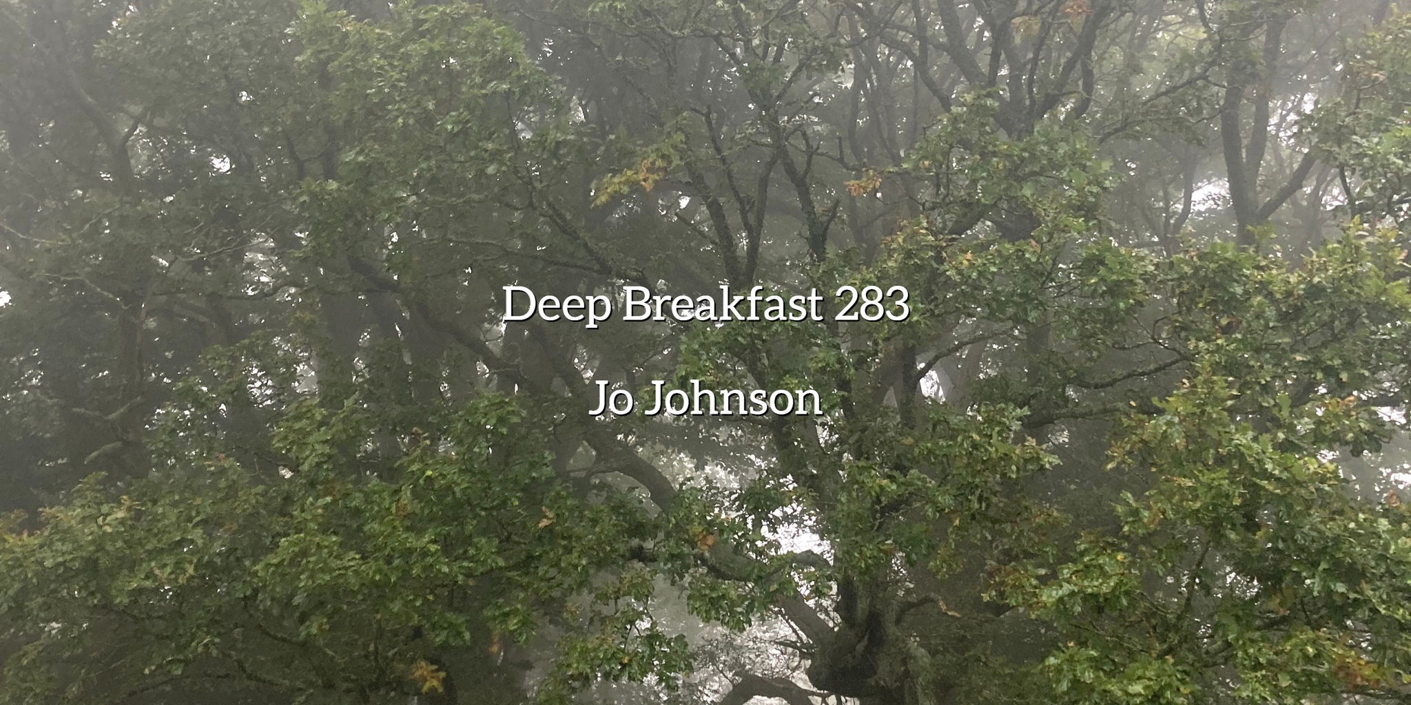 list image