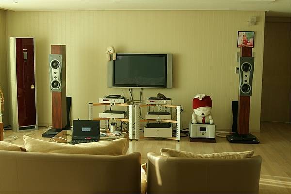 SYSTEM(DYNAUDIO_CONFIDENCE C-2)