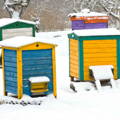 winter-snow-covered-beehives