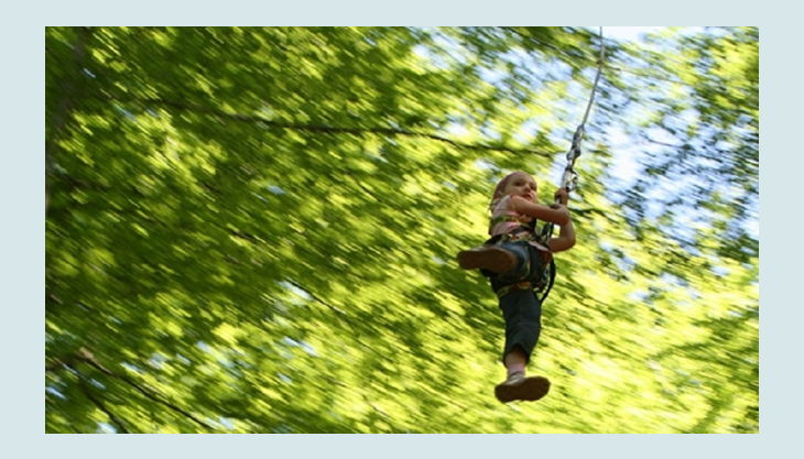 wald abenteuer waldkletterpark leiwen an der mosel