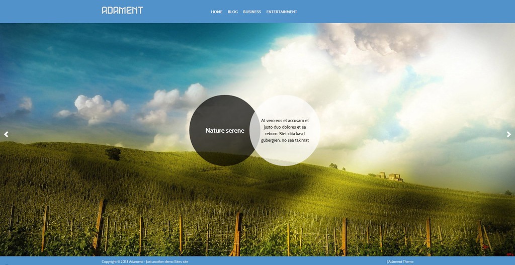 Adament - суперский шаблон для CMS Wordpress