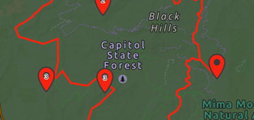 Capitol Forest Big Loop near Olympia, WA