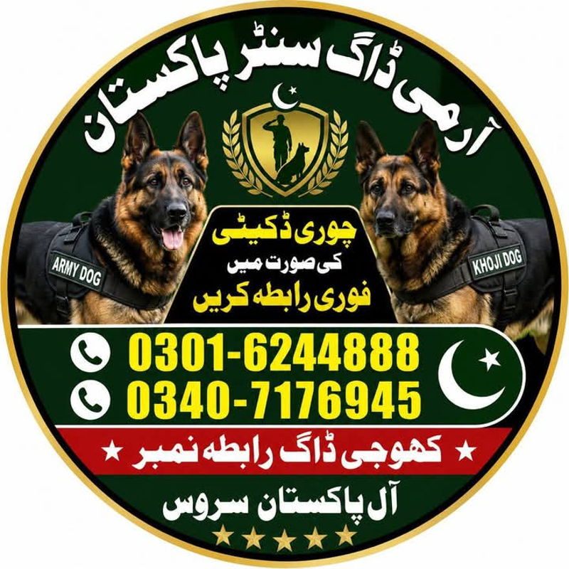 https://ucarecdn.com/d1ad5554-0c3d-4de0-b59d-7ef82f8b2ecd/ cover