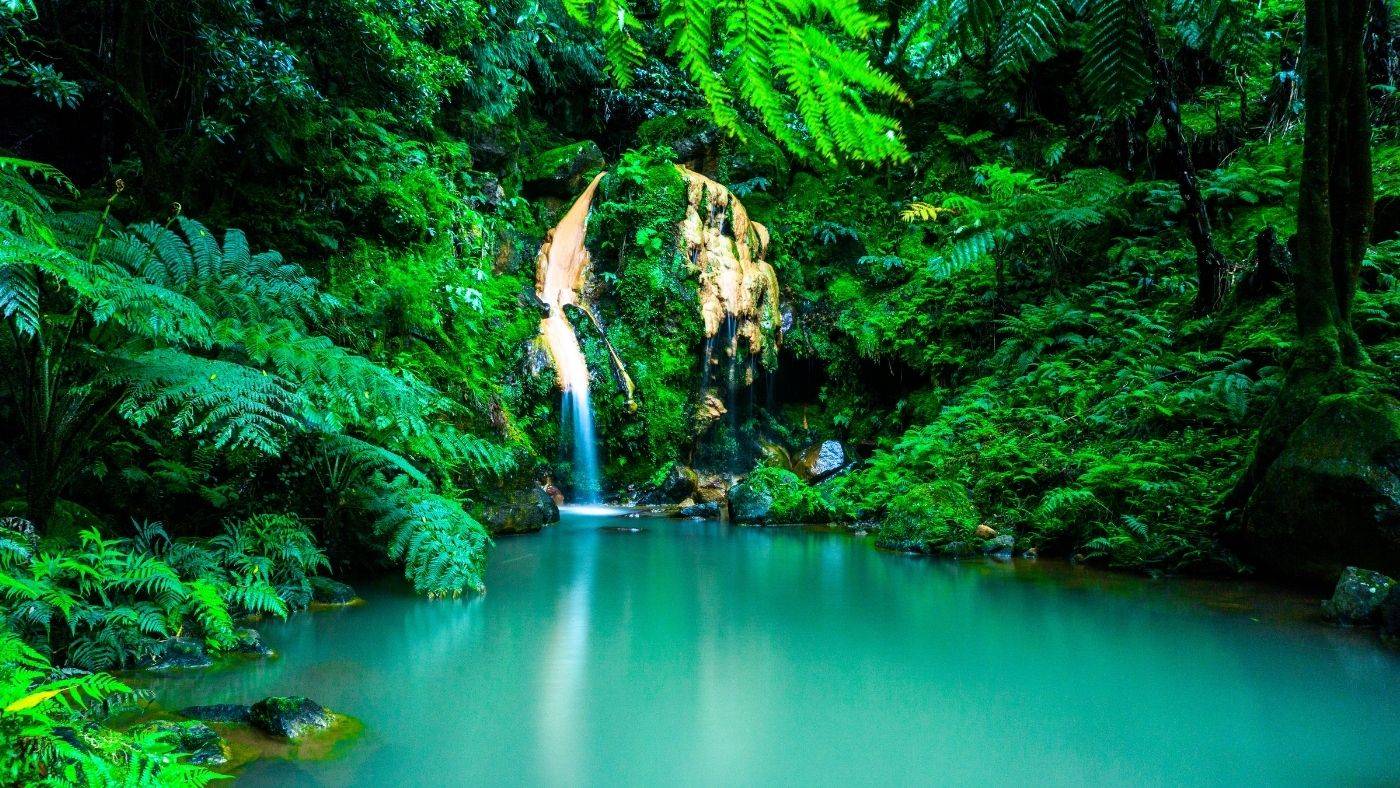 Azores Portugal Travel Guide  Waterfall in Aquamarine Thermal Pool Surrounded by Lush Greenery and Ferns