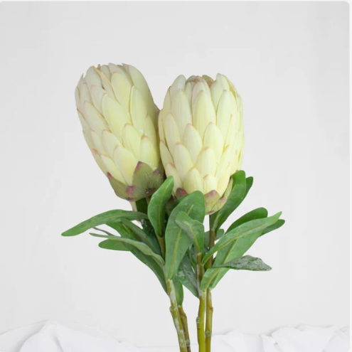 White Protea Stem / Pink Ice - Realistic Artificial Flowers - Image 2