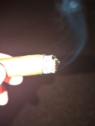 Cigar Session Photo