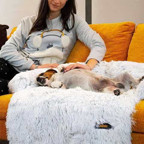 Calming dog bed with peaceful pup