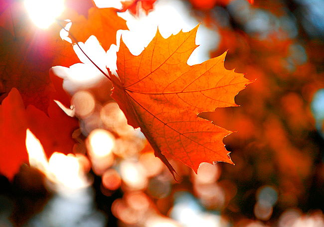  Lugano
- Autumn