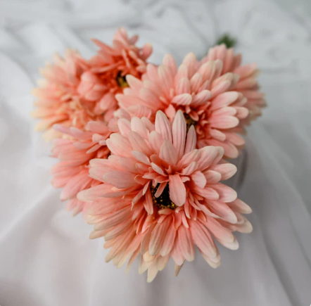 Pale Pink Real Touch Gerberas - Realistic Artificial Flowers - Image 4