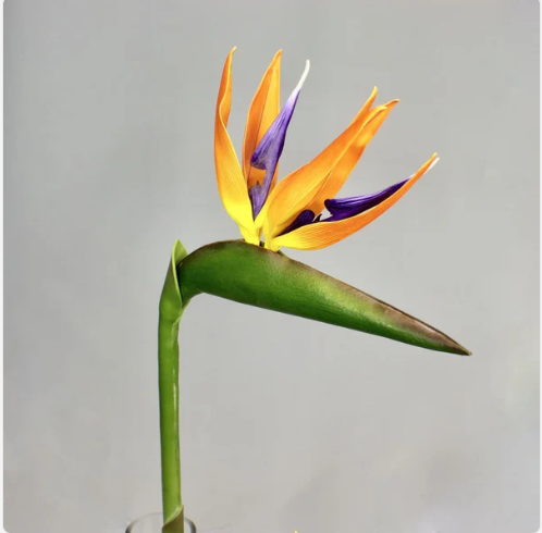 Bird of Paradise - Realistic Artificial Flowers - Image 6