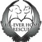 Fur-Ever Home Rescue logo