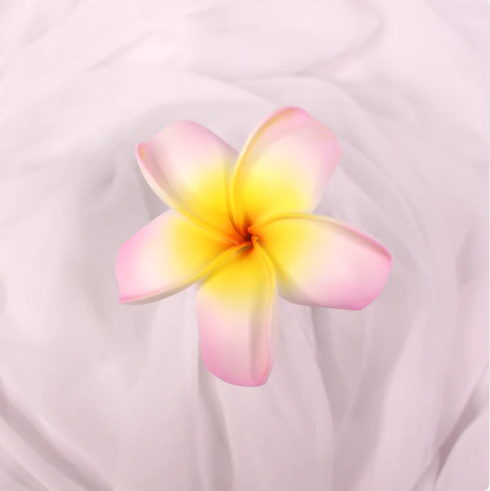 Soft Pink and Yellow Frangipani Real Touch (6 Pack) - Realistic Artificial Flowers